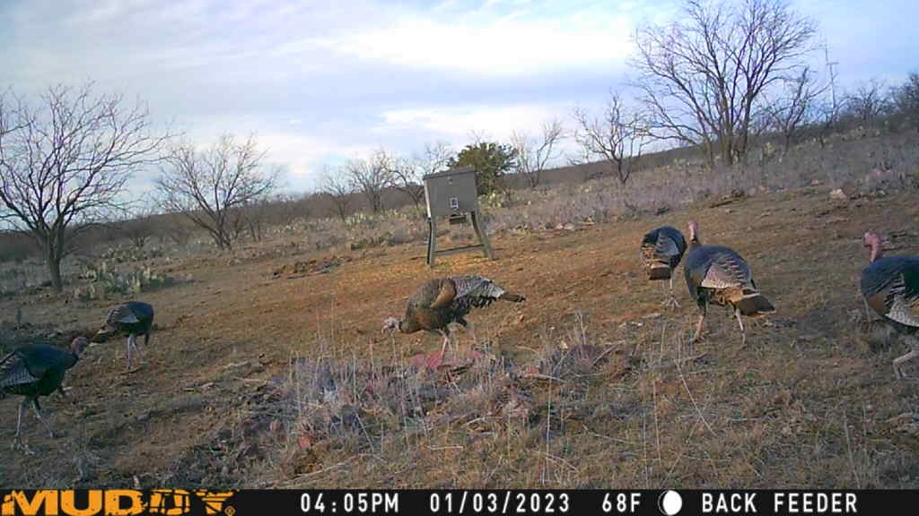 5860 County Road 423 Cisco TX 76437
