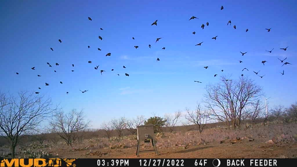 5860 County Road 423 Cisco TX 76437