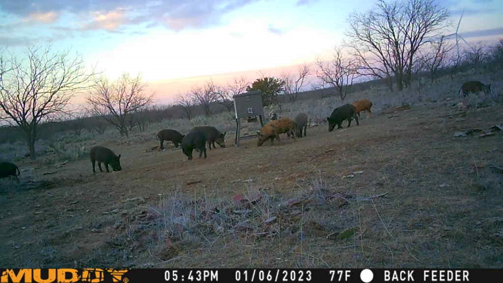5860 County Road 423 Cisco TX 76437