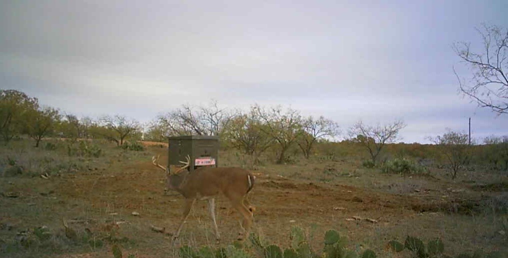 5860 County Road 423 Cisco TX 76437