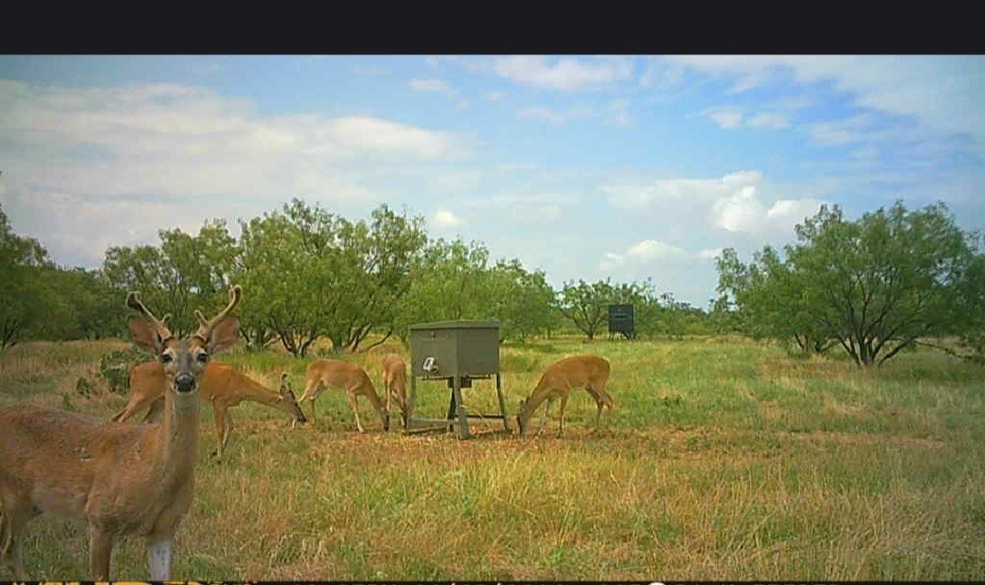 5860 County Road 423 Cisco TX 76437
