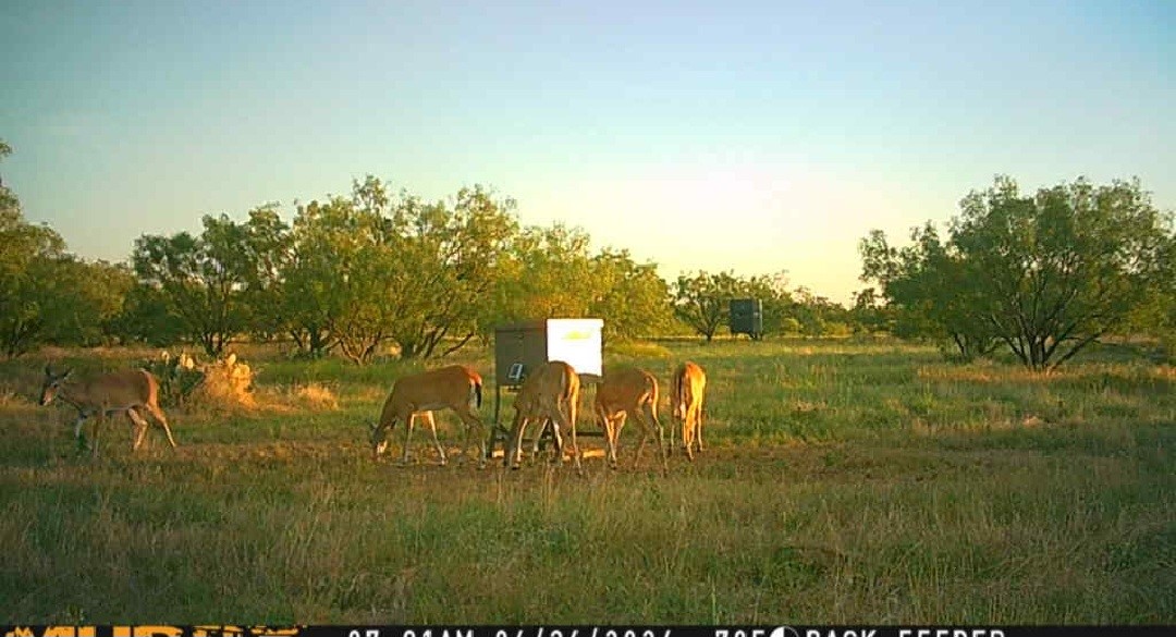 5860 County Road 423 Cisco TX 76437