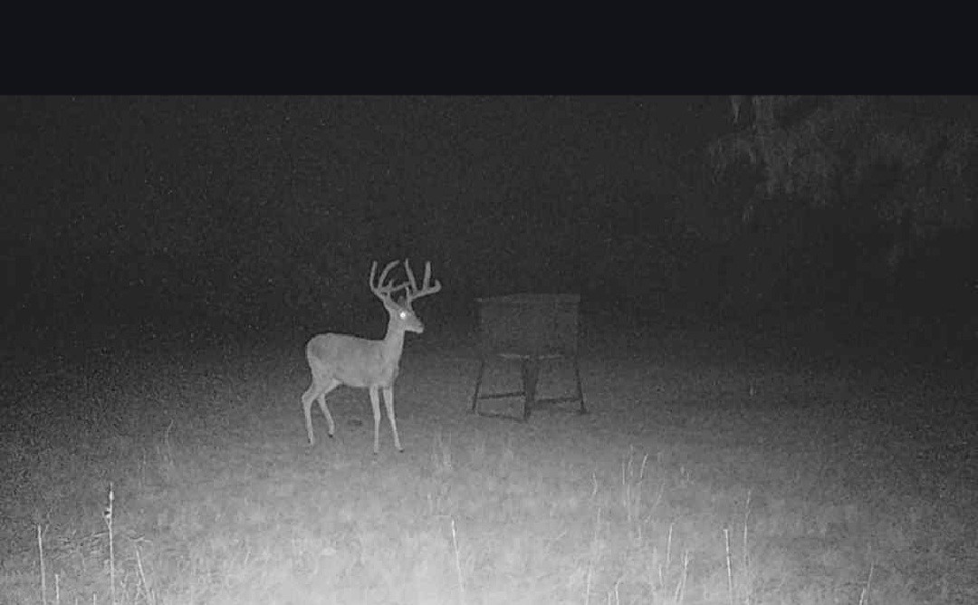 5860 County Road 423 Cisco TX 76437