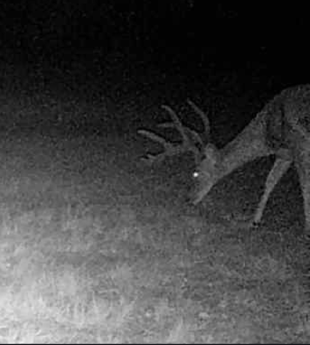 5860 County Road 423 Cisco TX 76437
