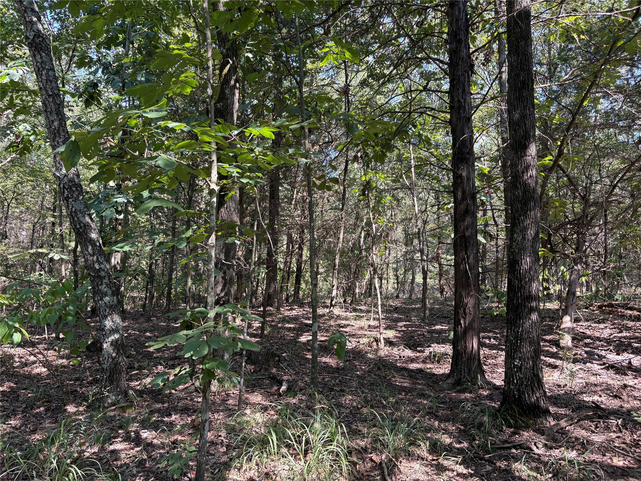 Tbd Fm 69 Como TX 75431