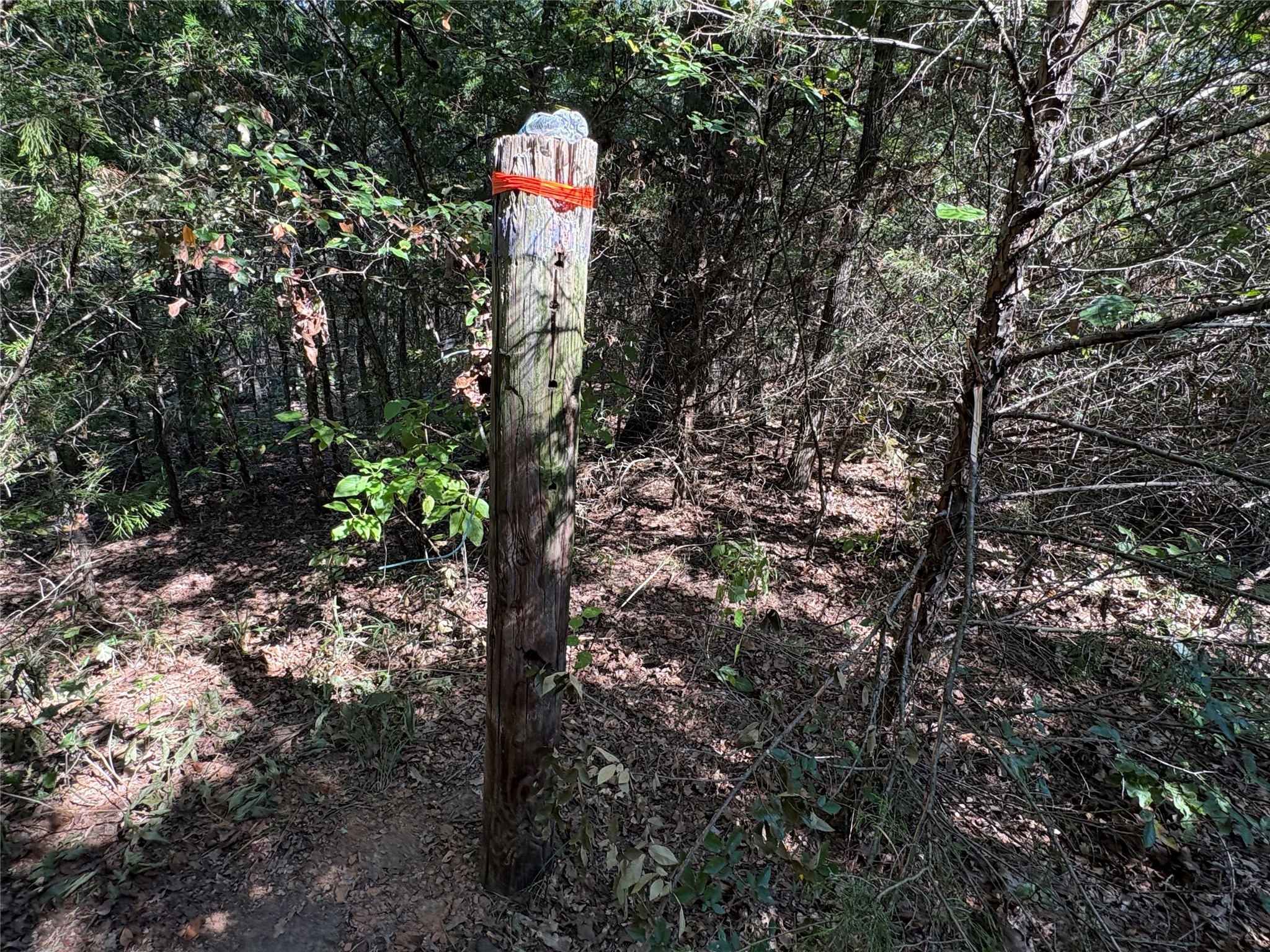 Tbd Fm 69 Como TX 75431
