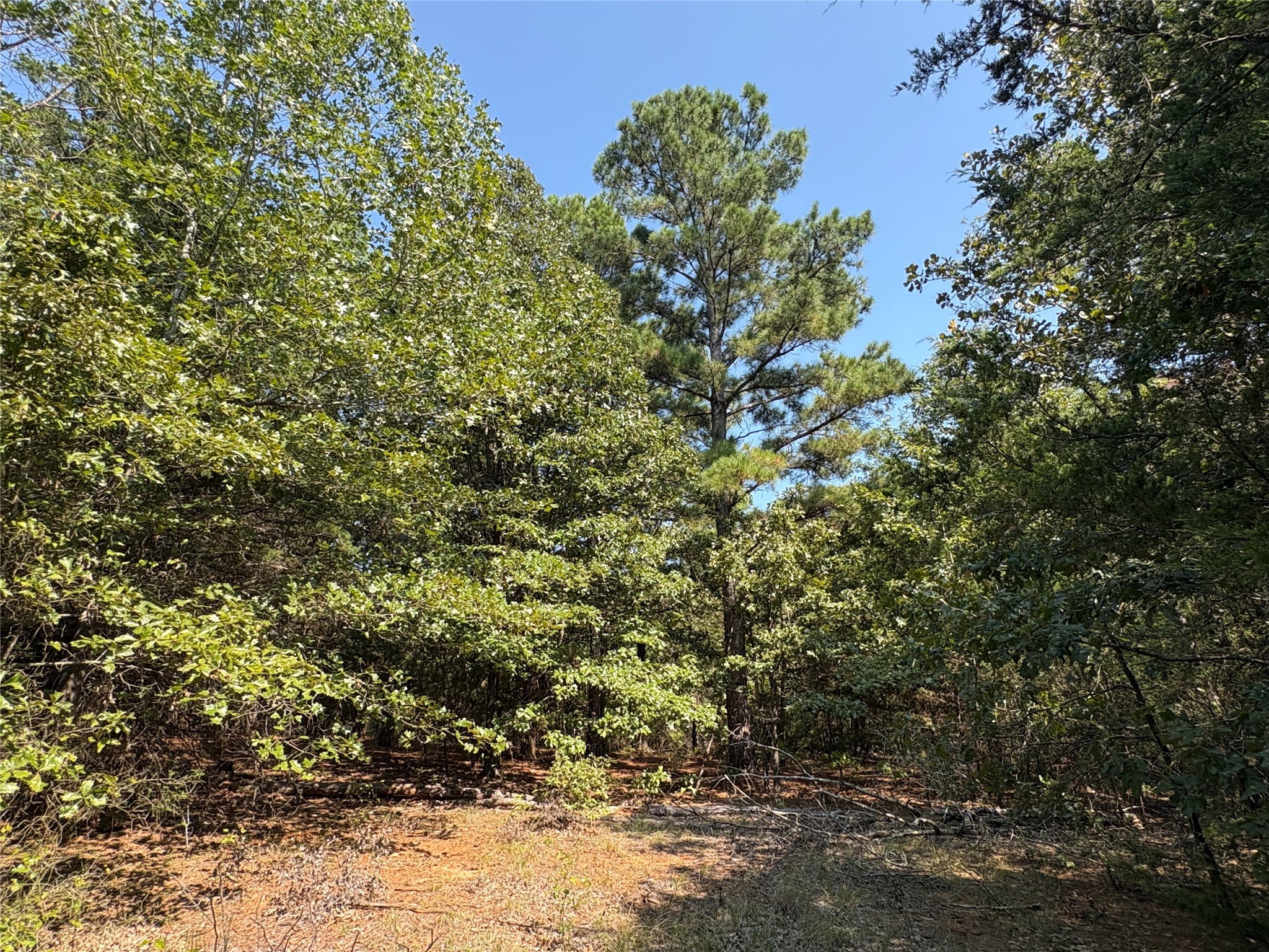 Tbd Fm 69 Como TX 75431