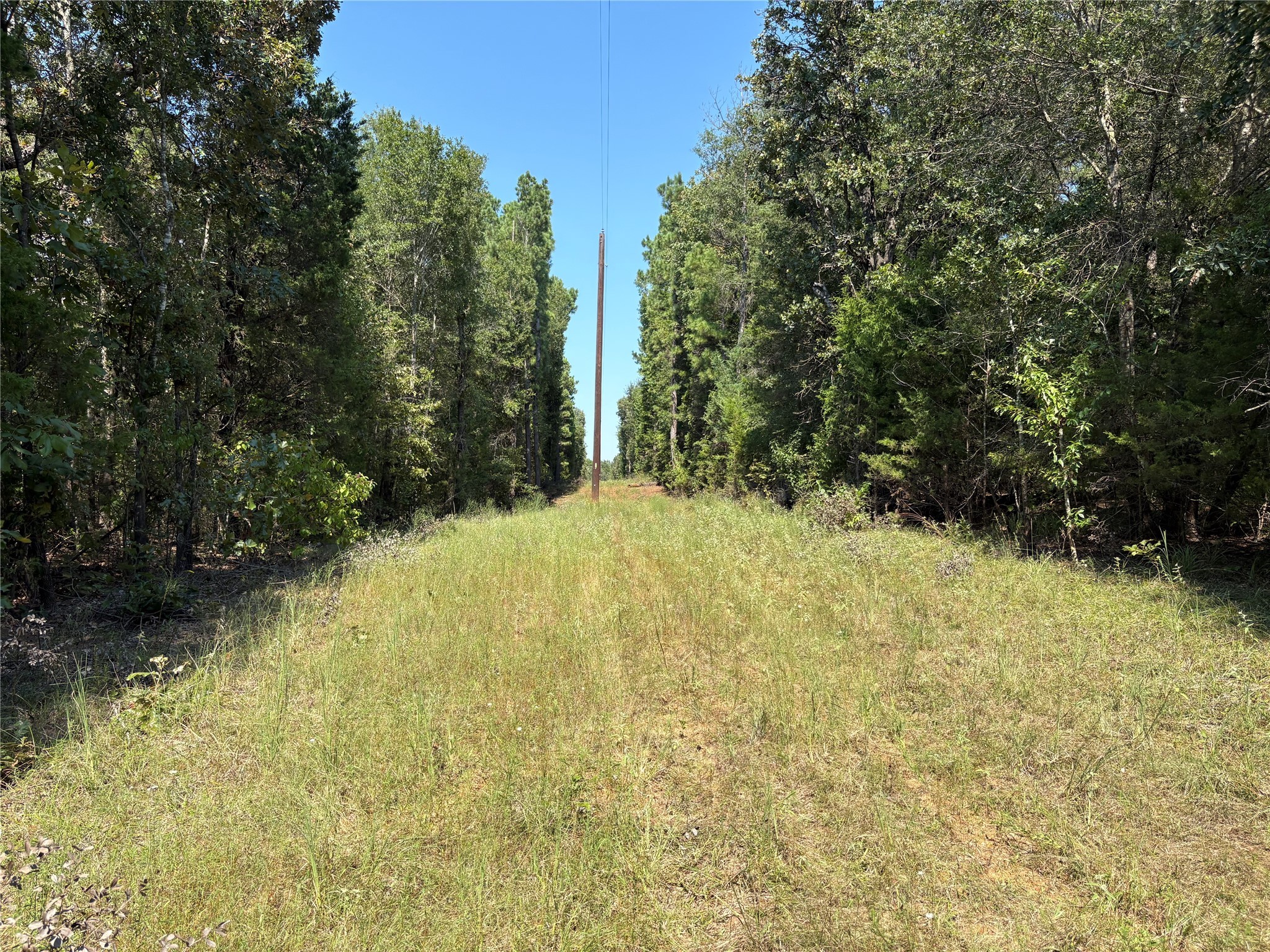 Tbd Fm 69 Como TX 75431