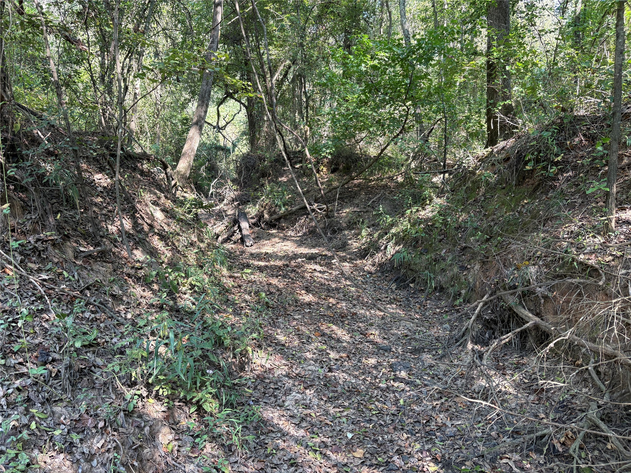 Tbd Fm 69 Como TX 75431