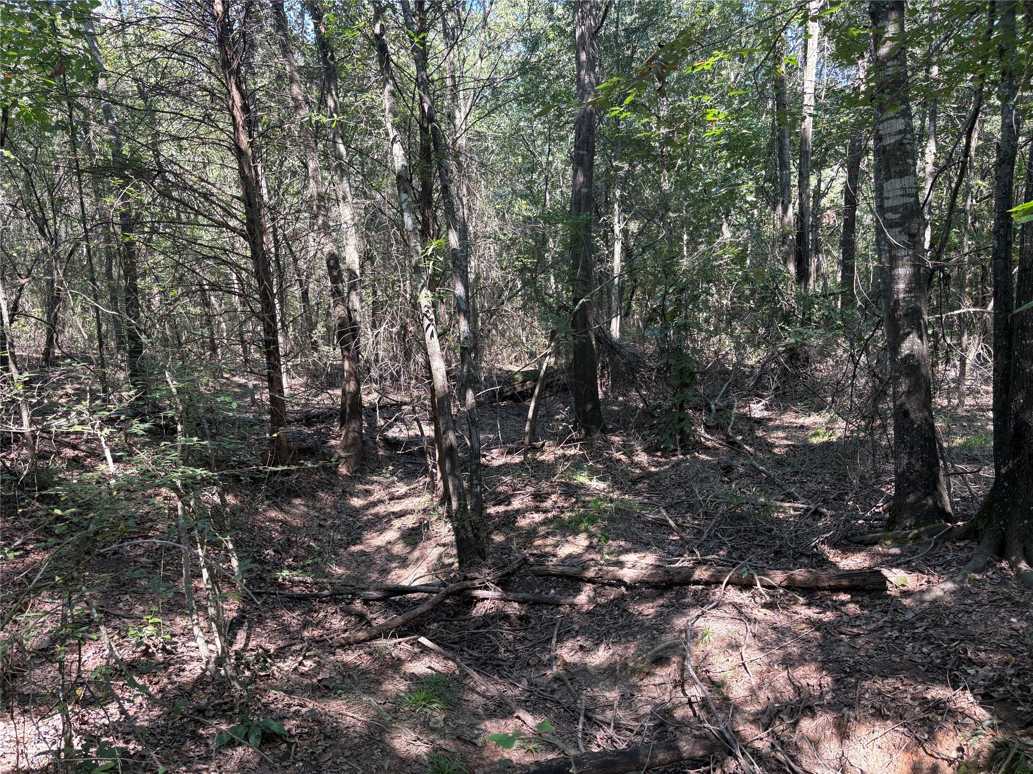 Tbd Fm 69 Como TX 75431