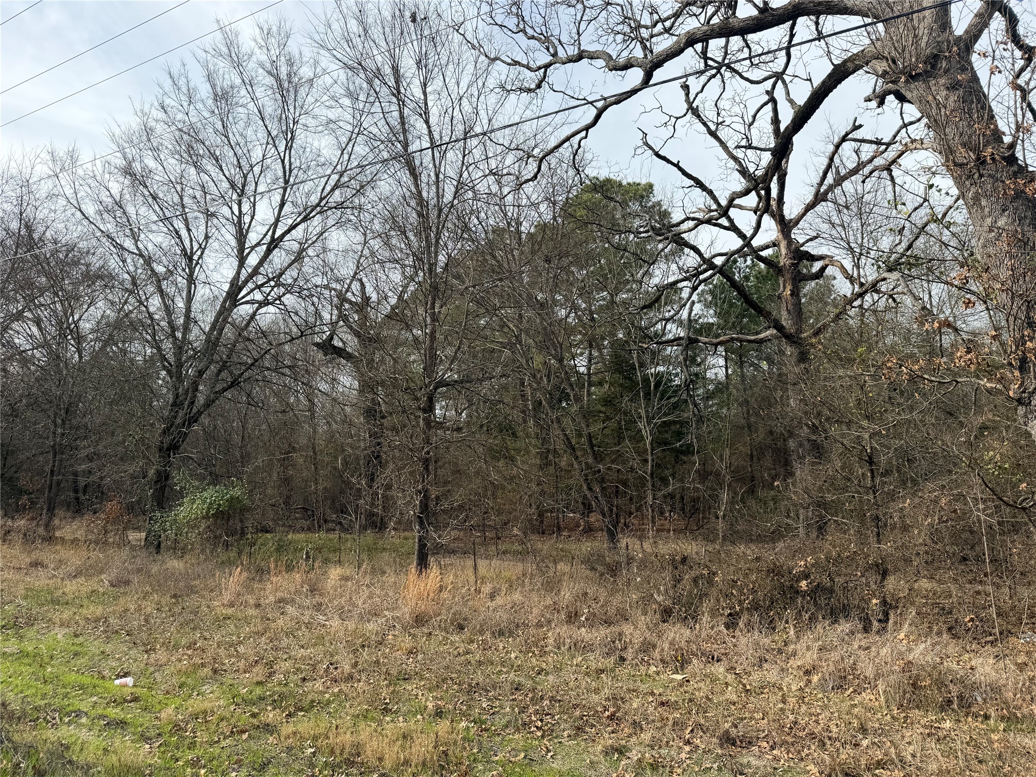 Tbd Highway 37 Clarksville TX 75426