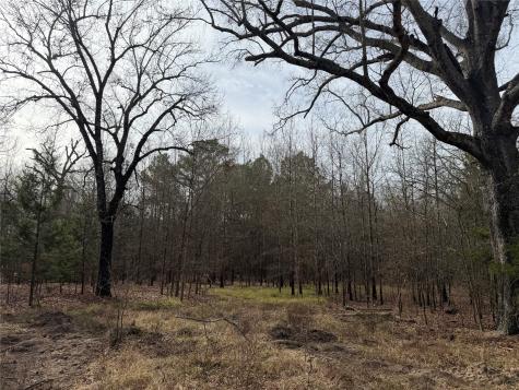 Tbd Highway 37 Clarksville TX 75426