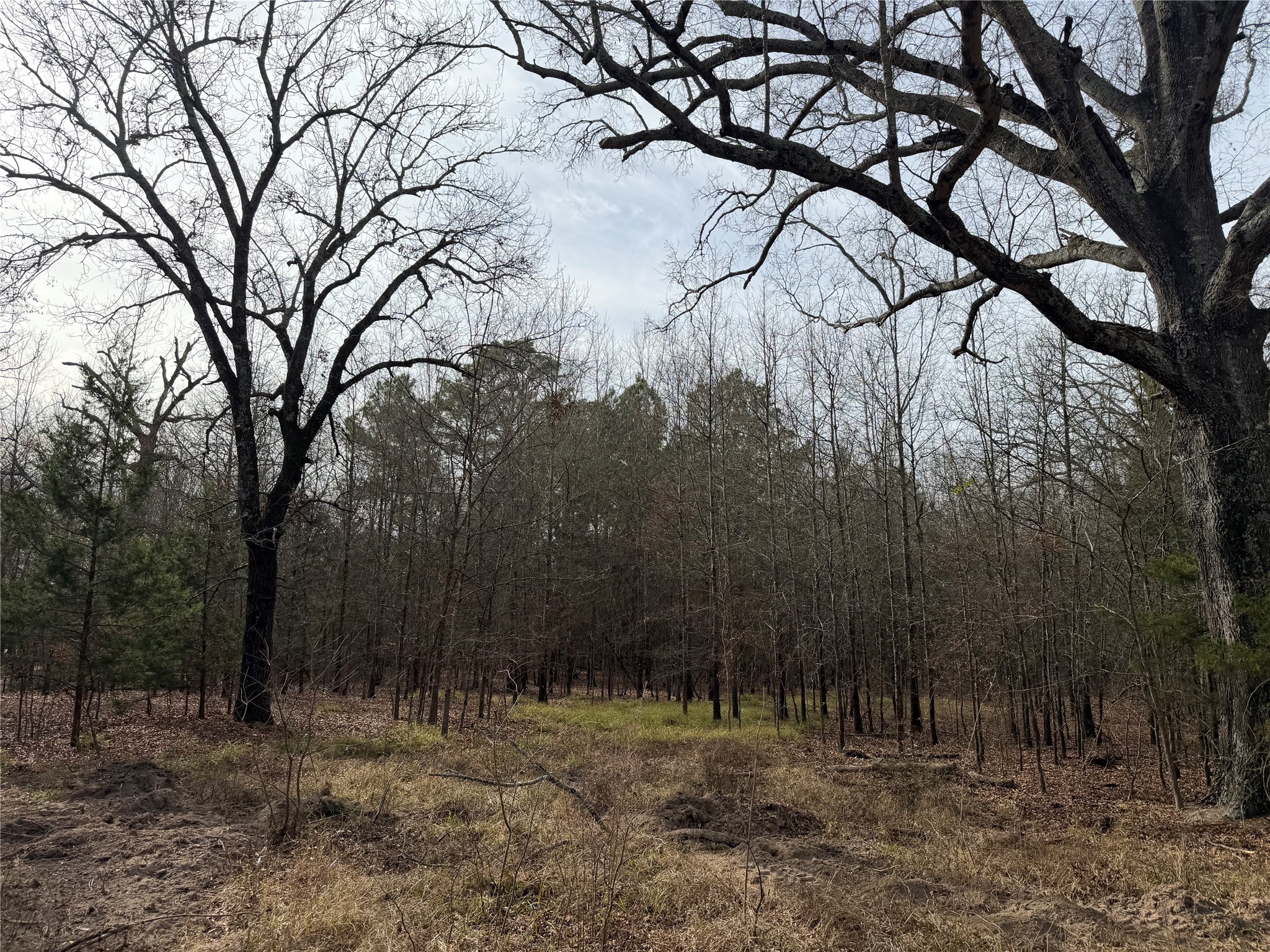 Tbd Highway 37 Clarksville TX 75426