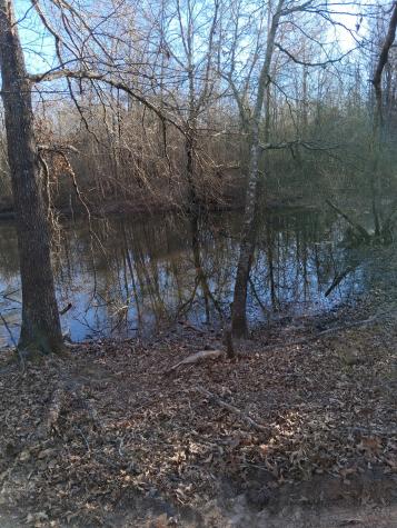 Tbd Highway 37 Clarksville TX 75426