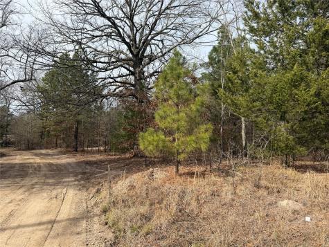 Tbd Highway 37 Clarksville TX 75426