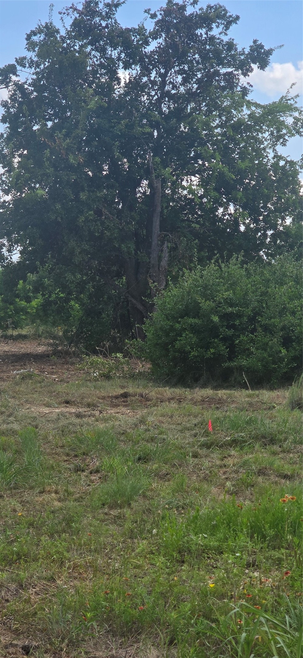 0000 Eagle Nest Drive Azle TX 76020