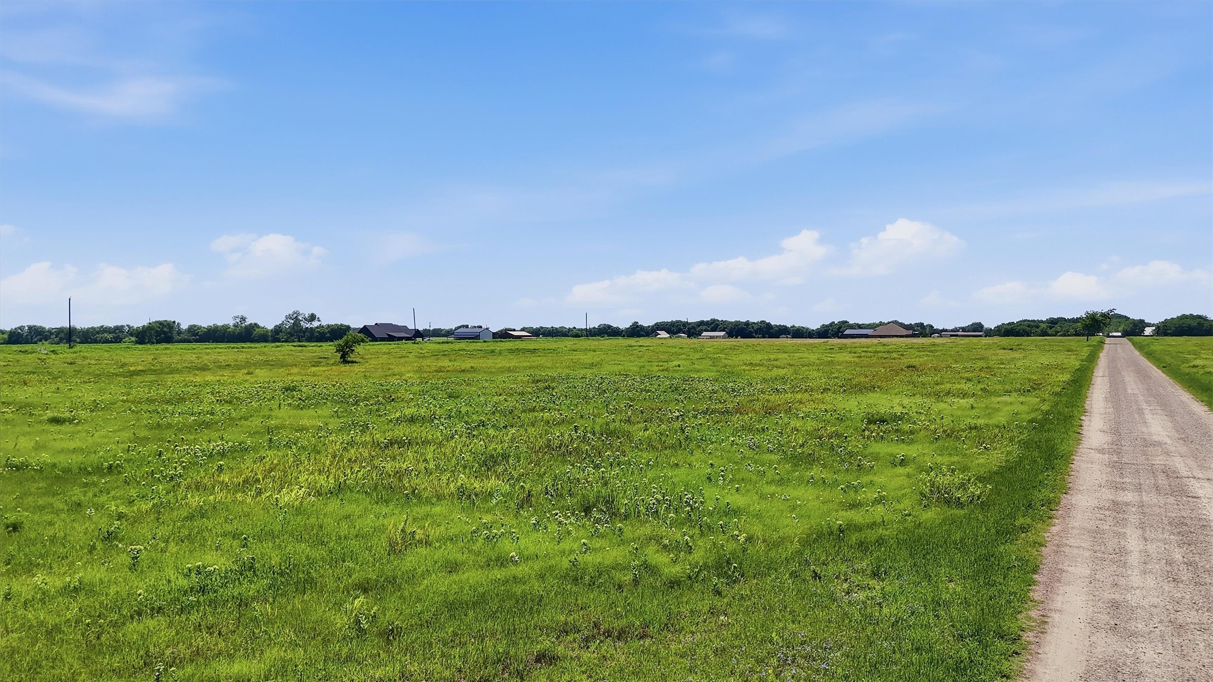 232 La Buena Vida Drive Gunter TX 75058