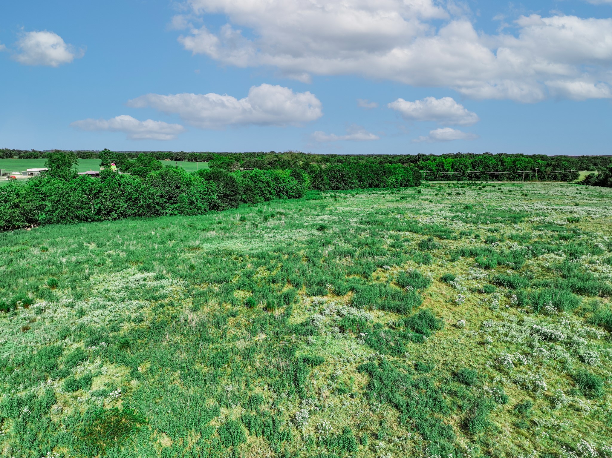 12.69 Acres S Farm Road 269 S Saltillo TX 75478