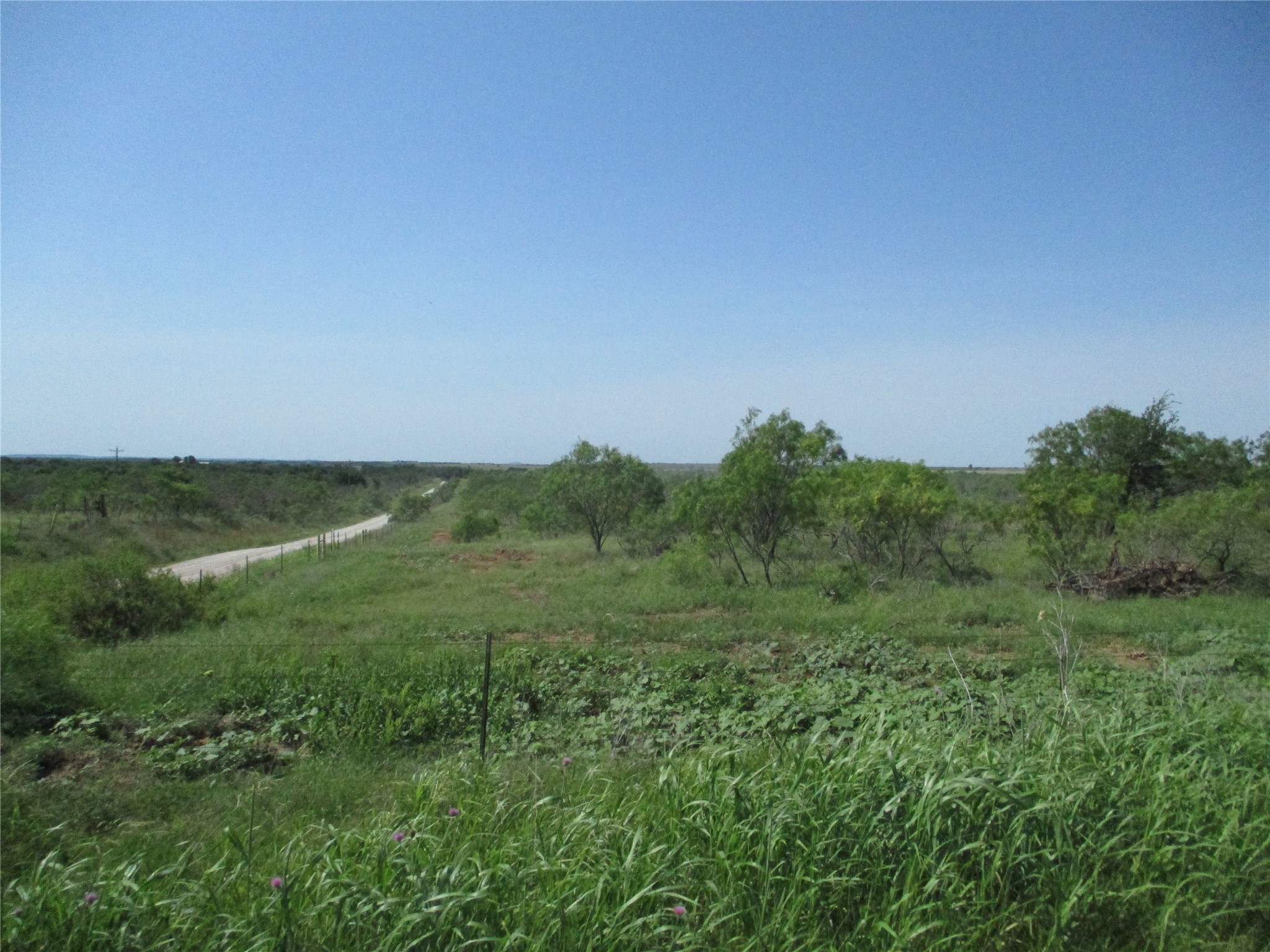 Tr 4 Boren Ringgold TX 76241