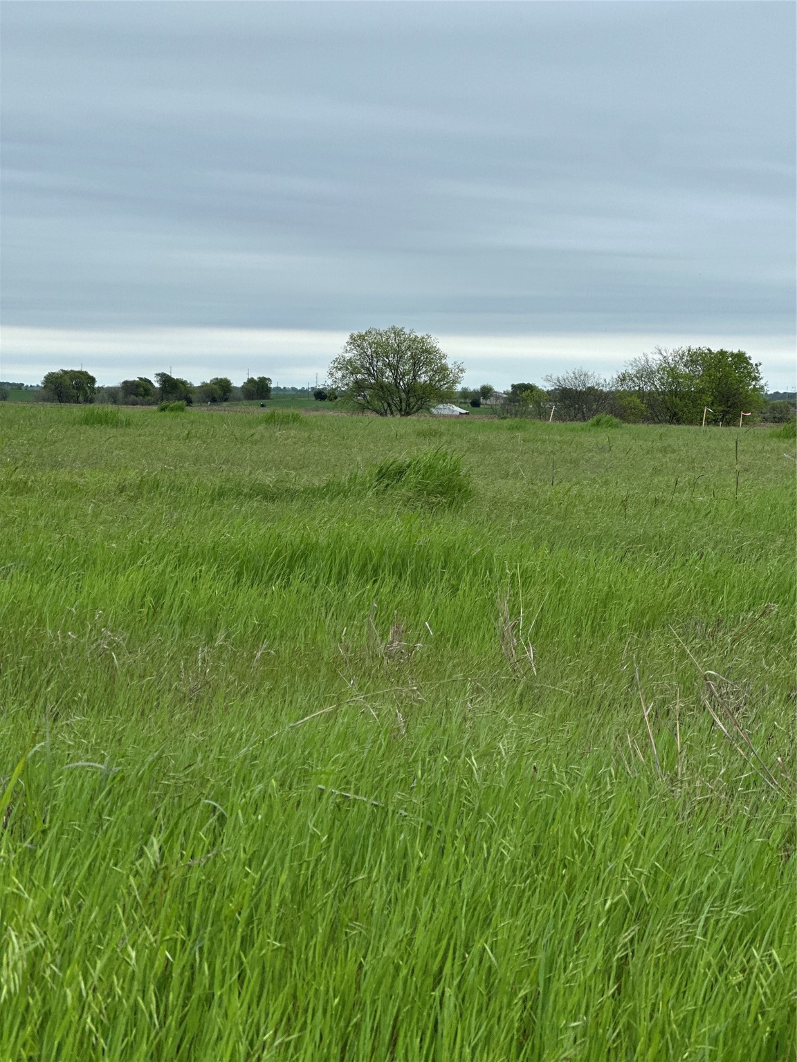 Tbd -5 Fm 1198 Muenster TX 76252