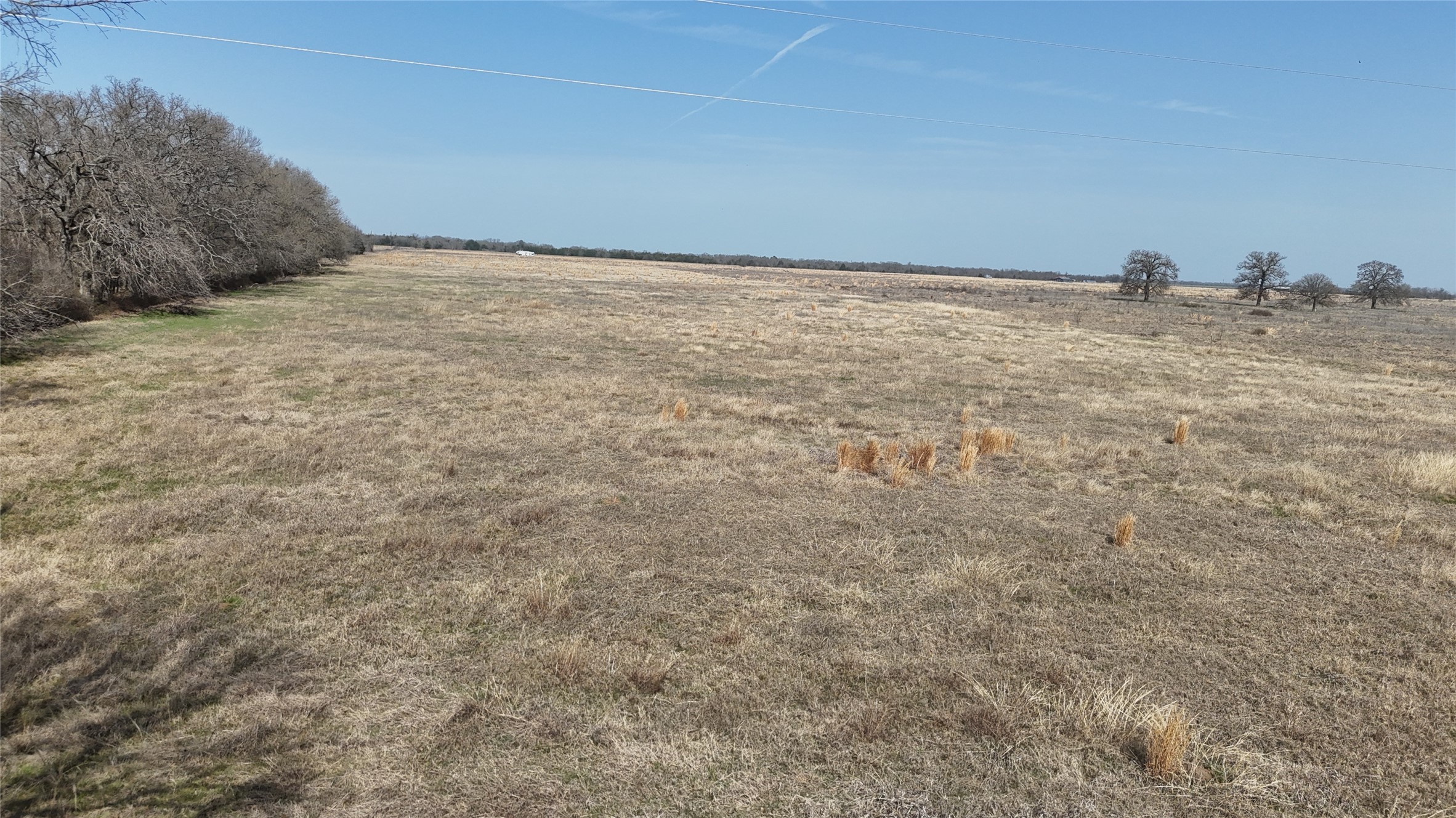 Tbd Lot 1 County Road 4210 Kerens TX 75144