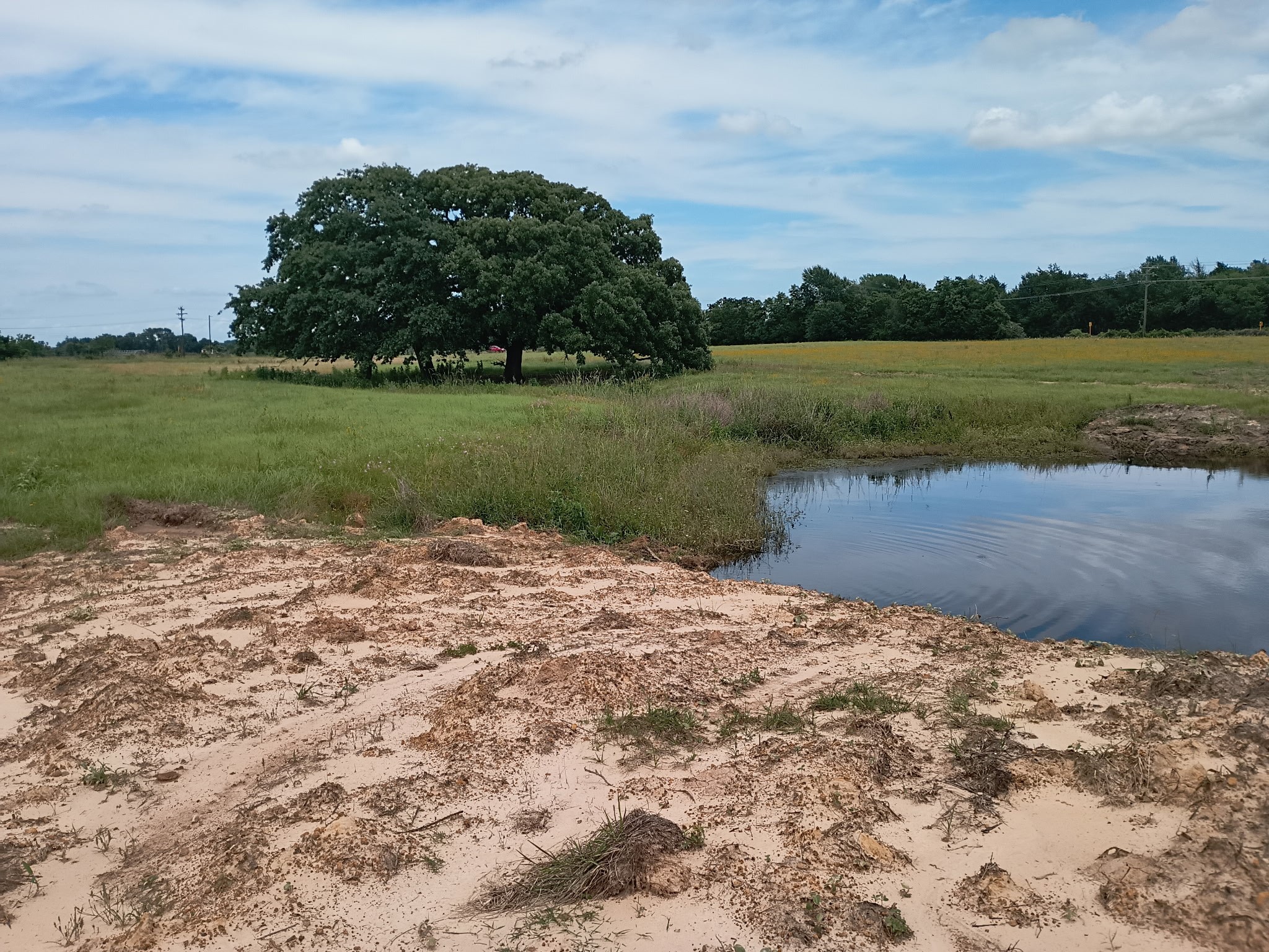 35 Ac Fm 1512 Donie TX 75838