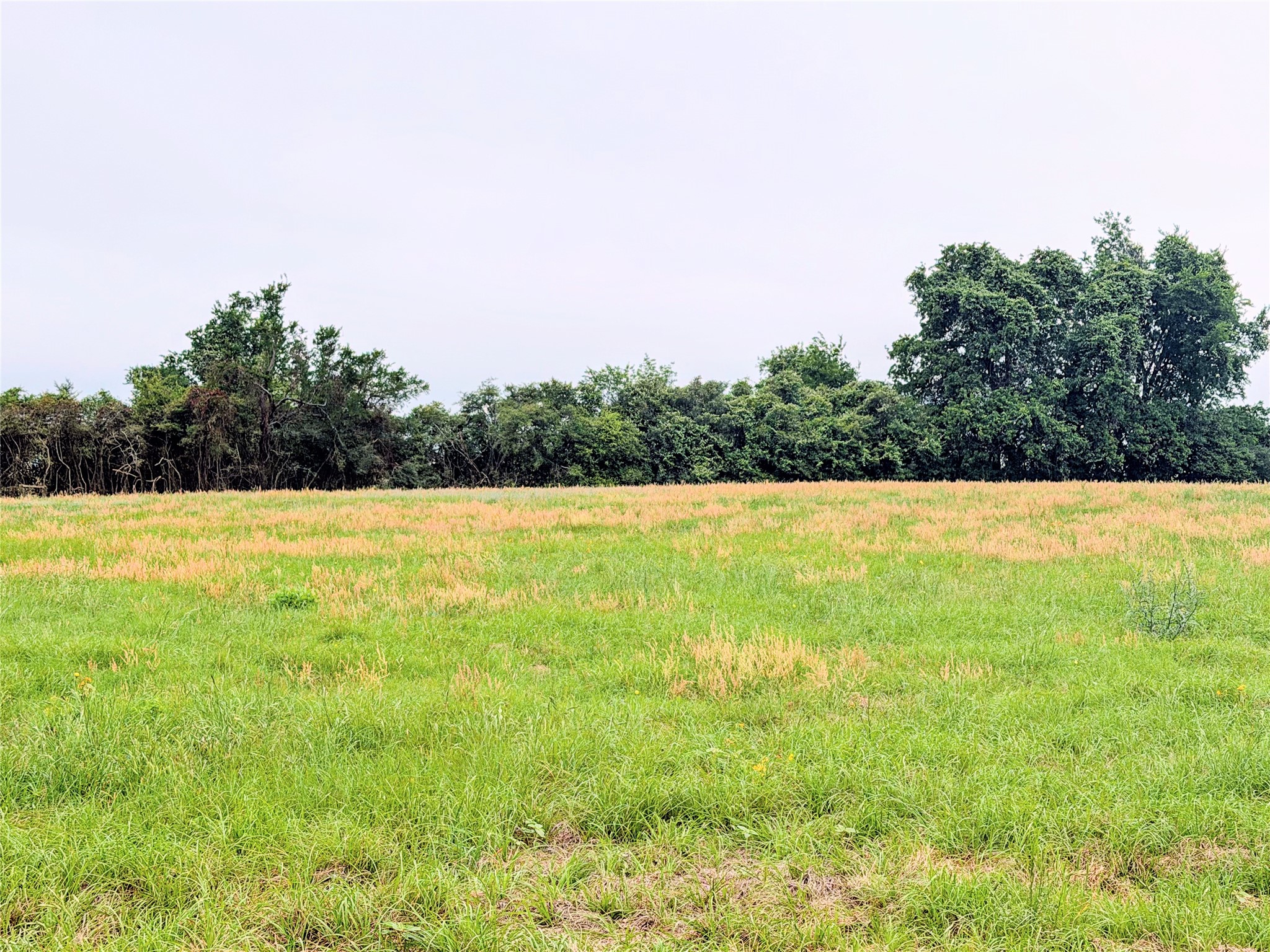 35 Ac Fm 1512 Donie TX 75838