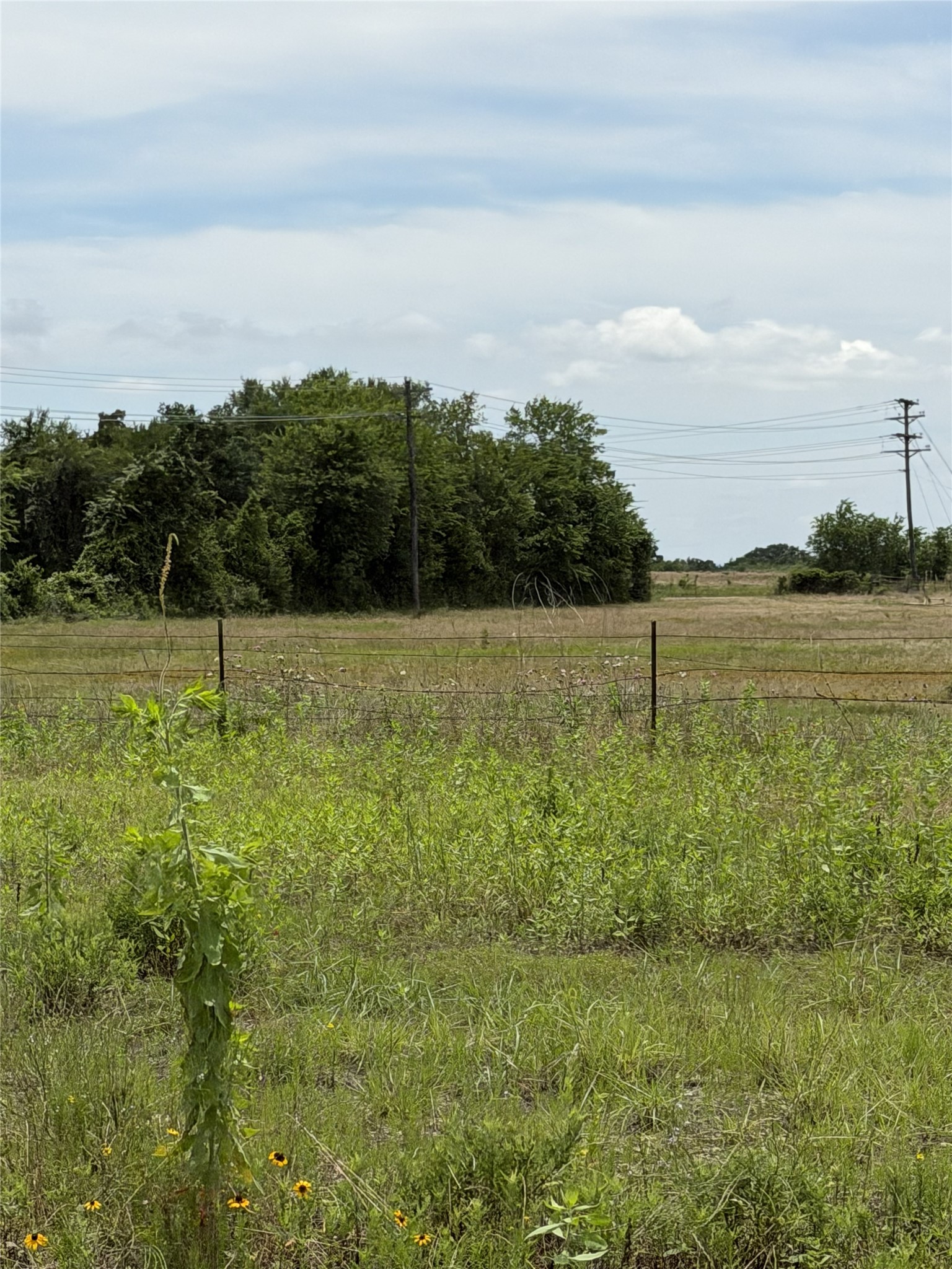 35 Ac Fm 1512 Donie TX 75838
