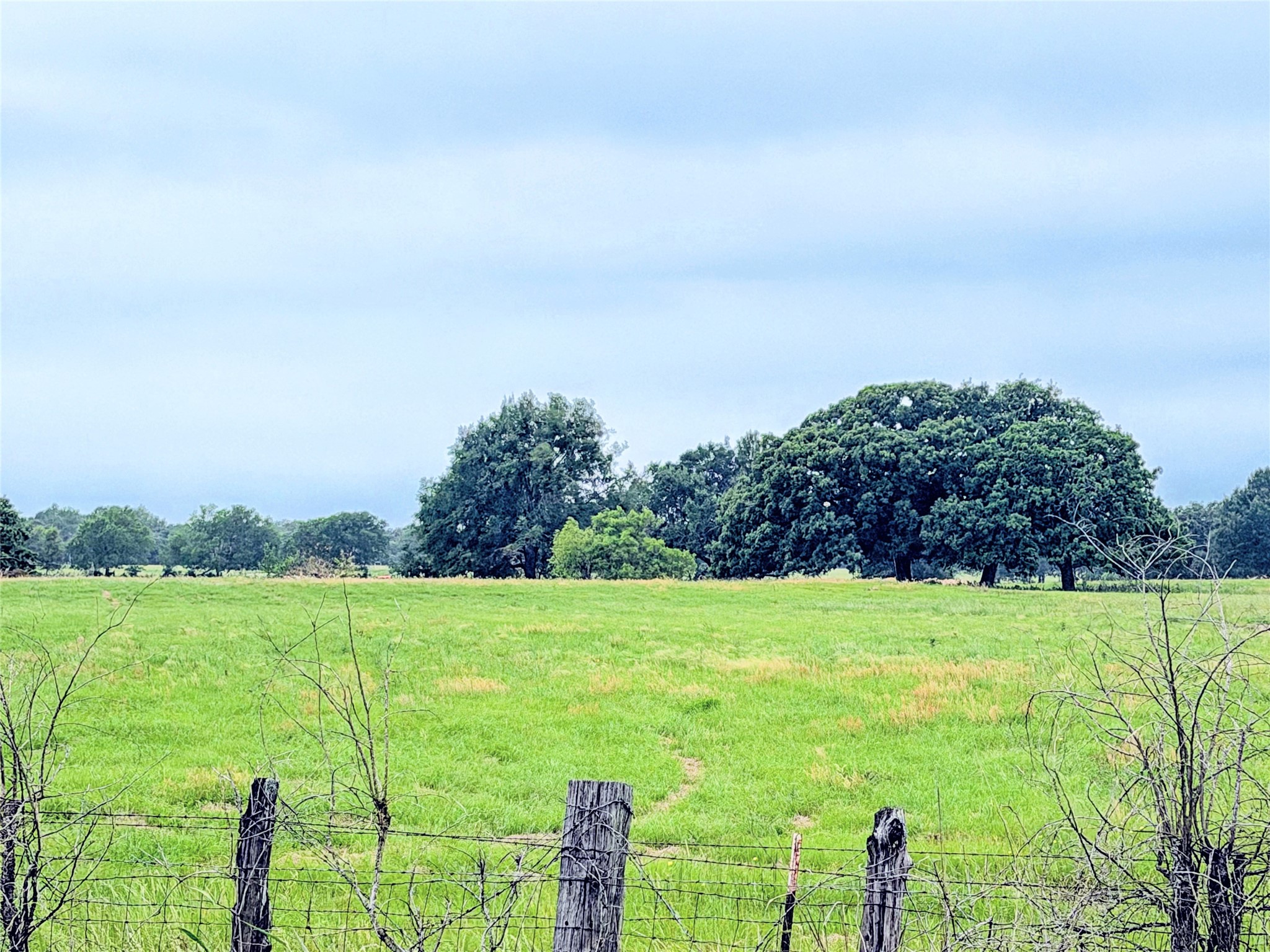 35 Ac Fm 1512 Donie TX 75838