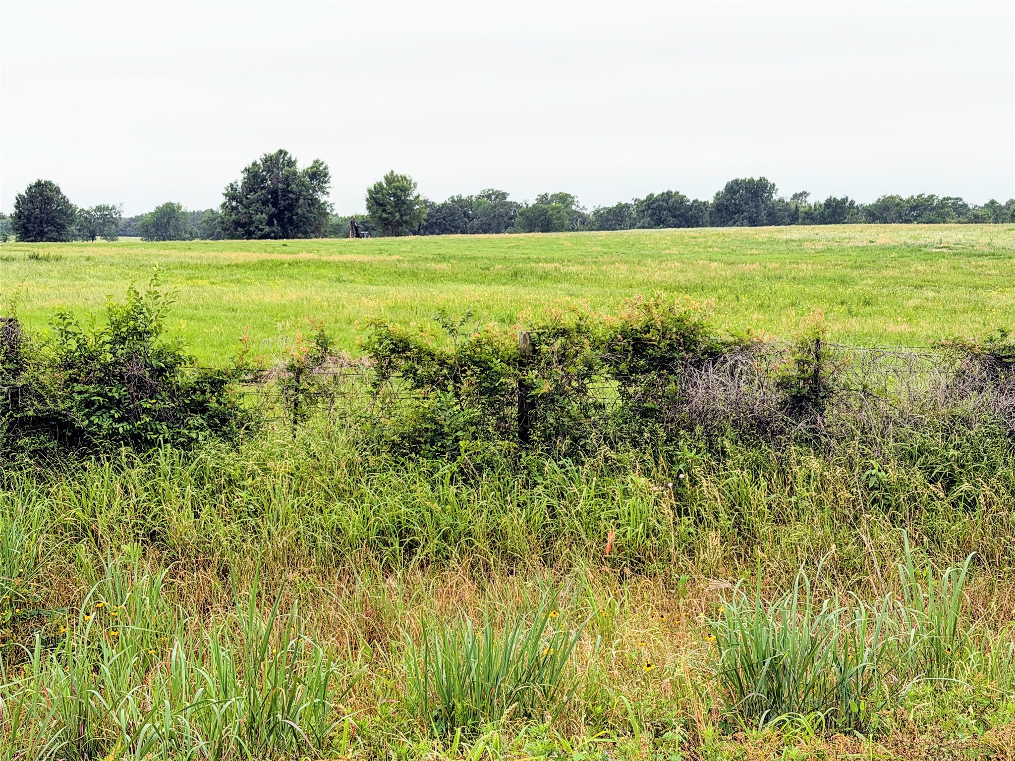 35 Ac Fm 1512 Donie TX 75838