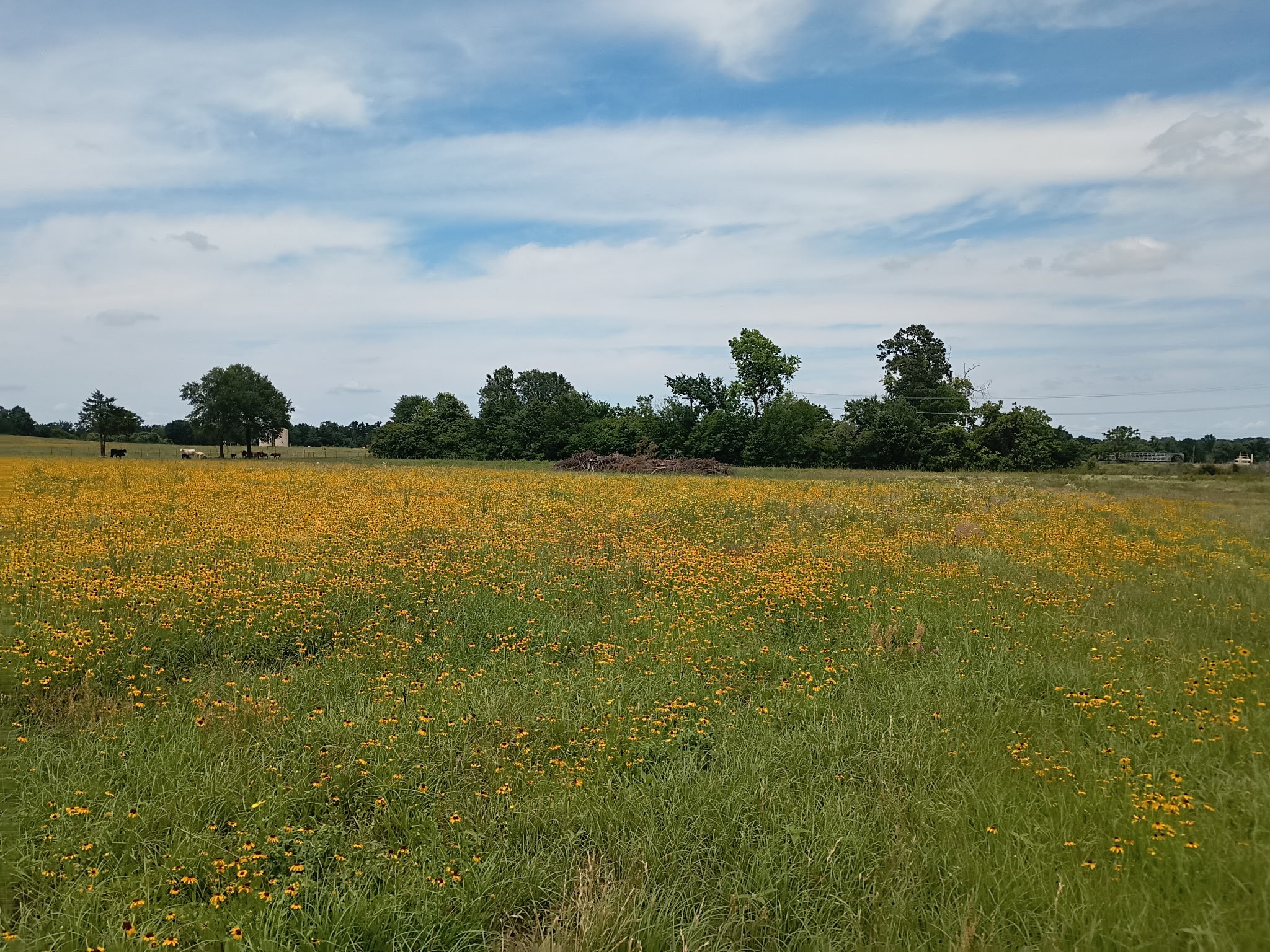 35 Ac Fm 1512 Donie TX 75838