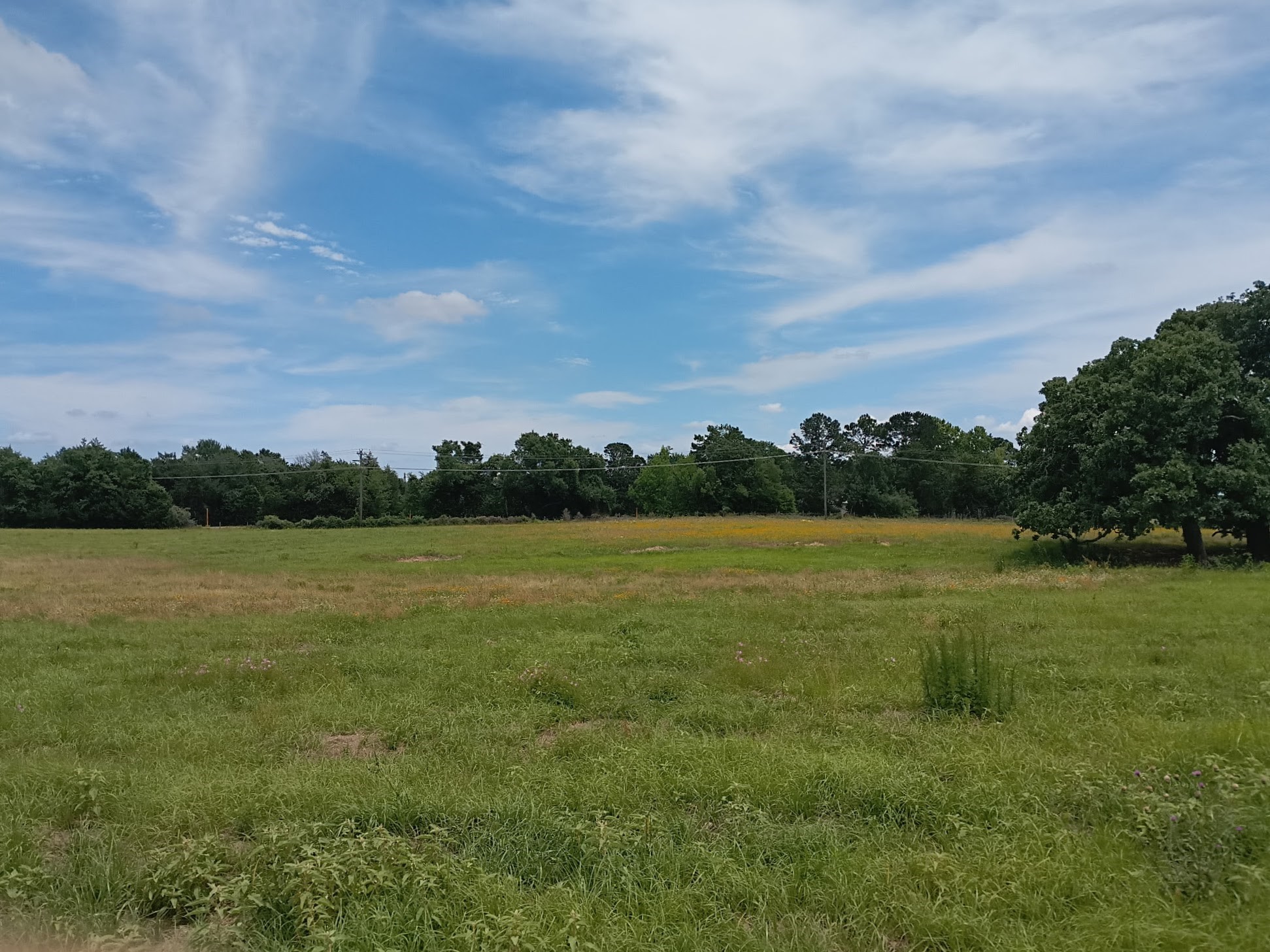 35 Ac Fm 1512 Donie TX 75838