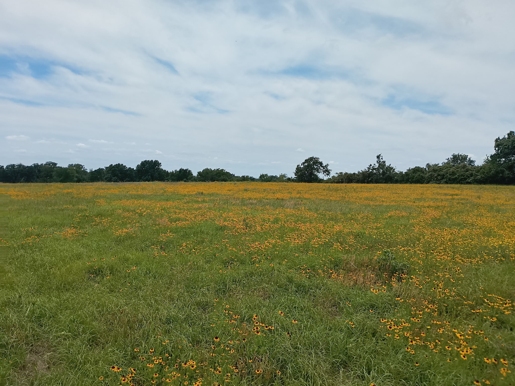 35 Ac Fm 1512 Donie TX 75838
