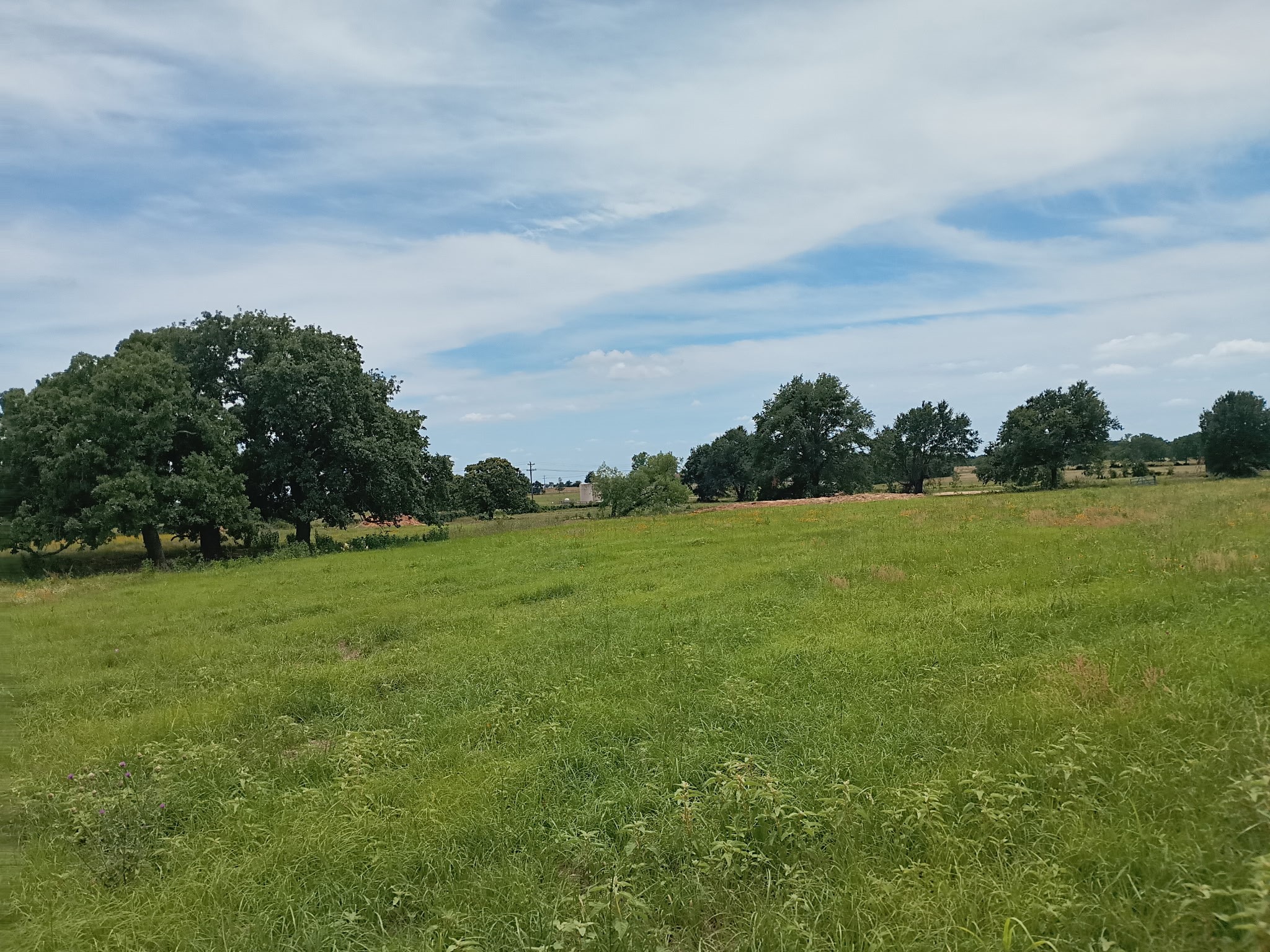 35 Ac Fm 1512 Donie TX 75838
