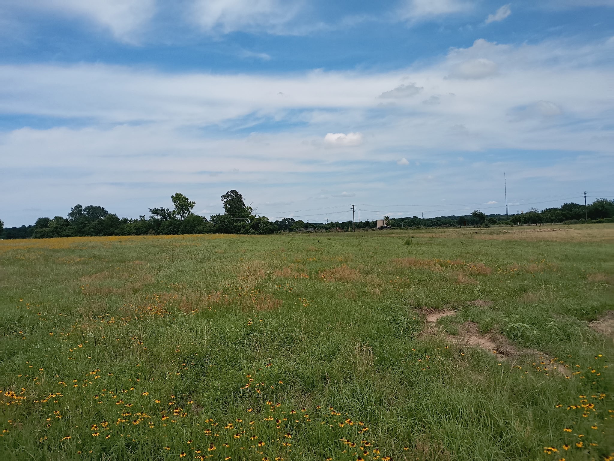 35 Ac Fm 1512 Donie TX 75838