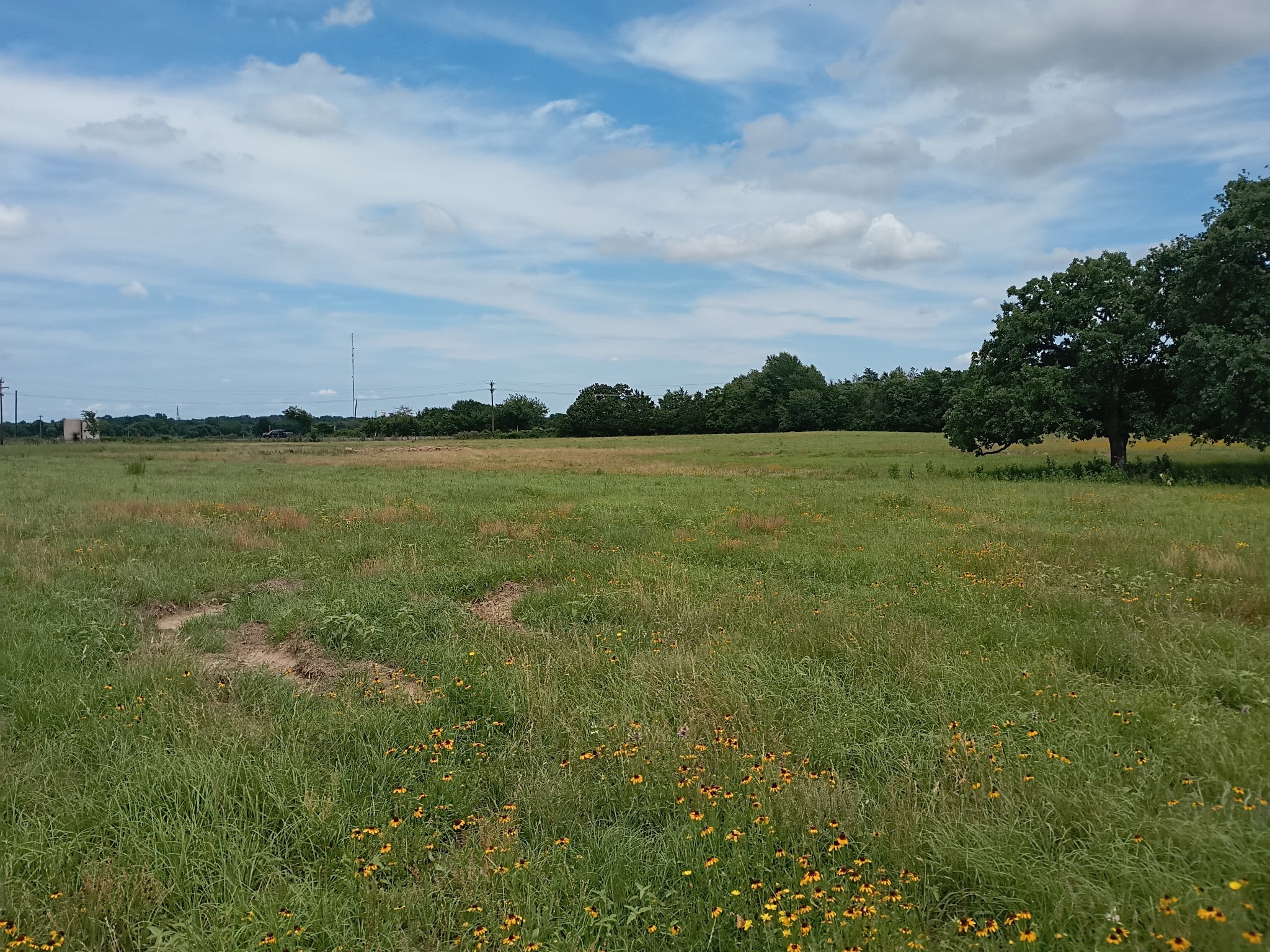 35 Ac Fm 1512 Donie TX 75838