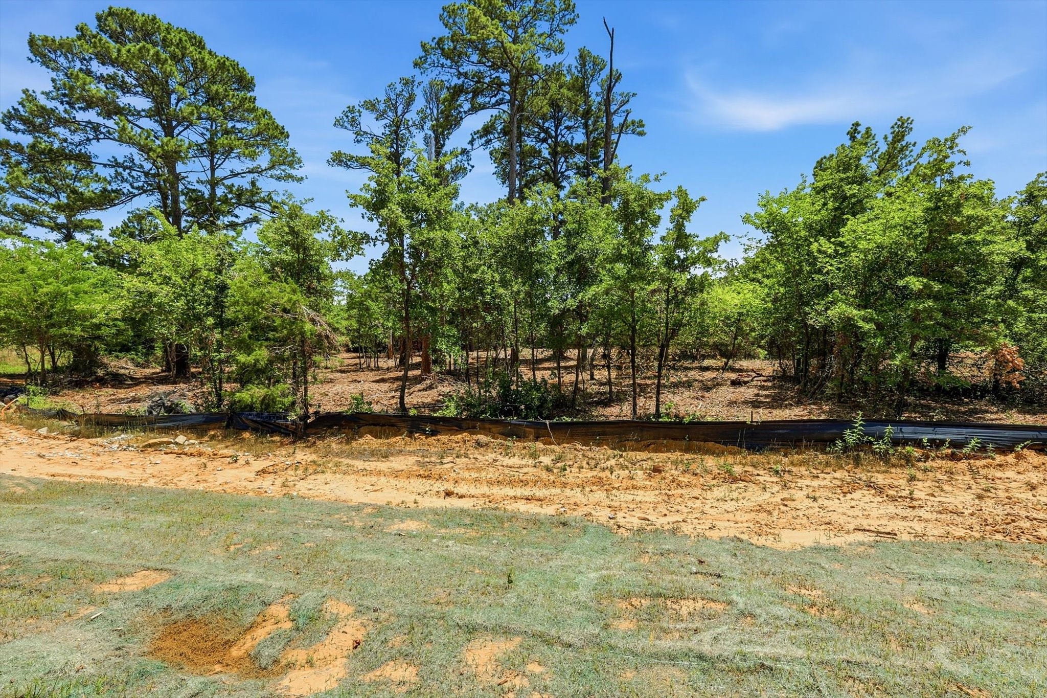 1121 Redbird Grove Road Argyle TX 76226