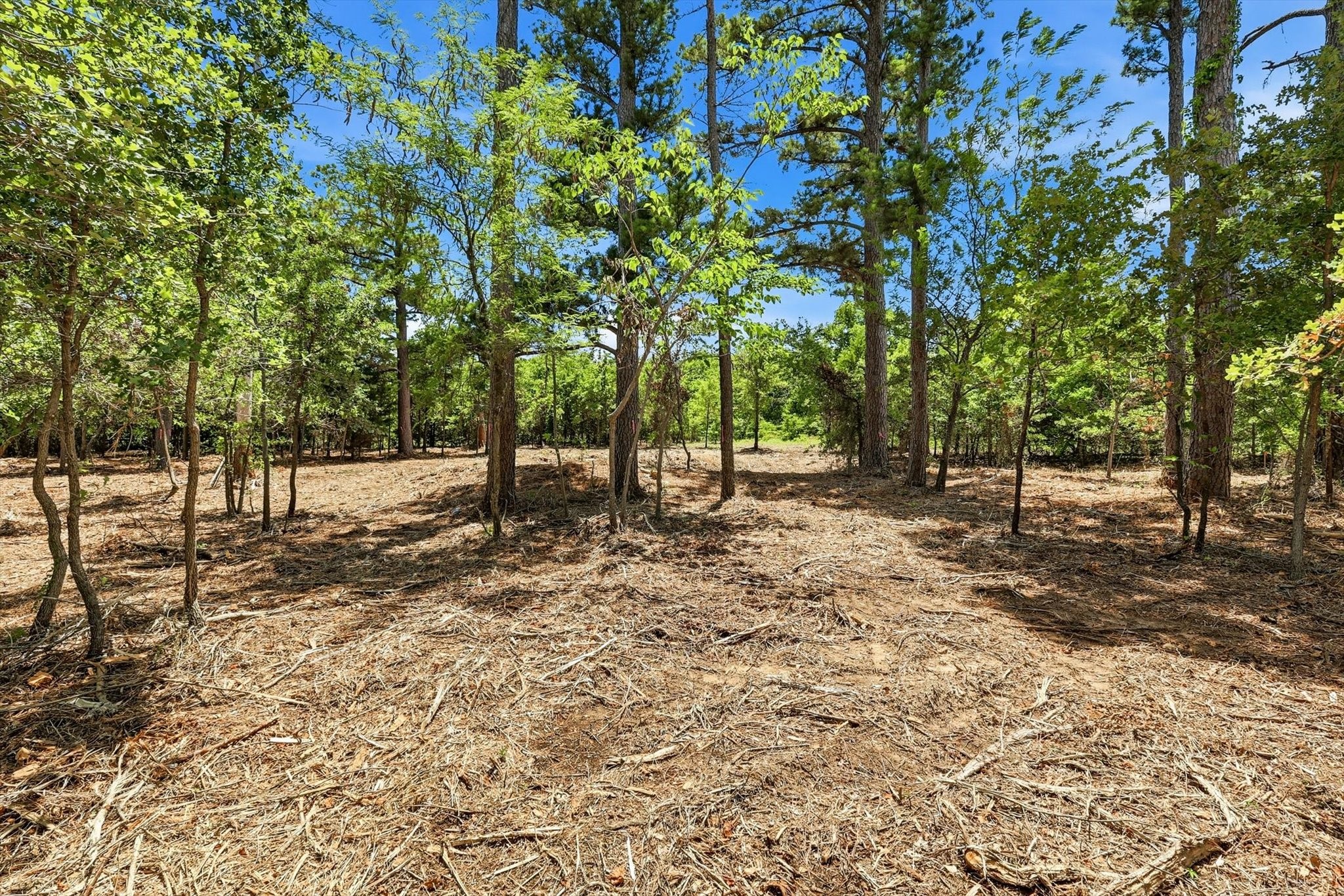1121 Redbird Grove Road Argyle TX 76226