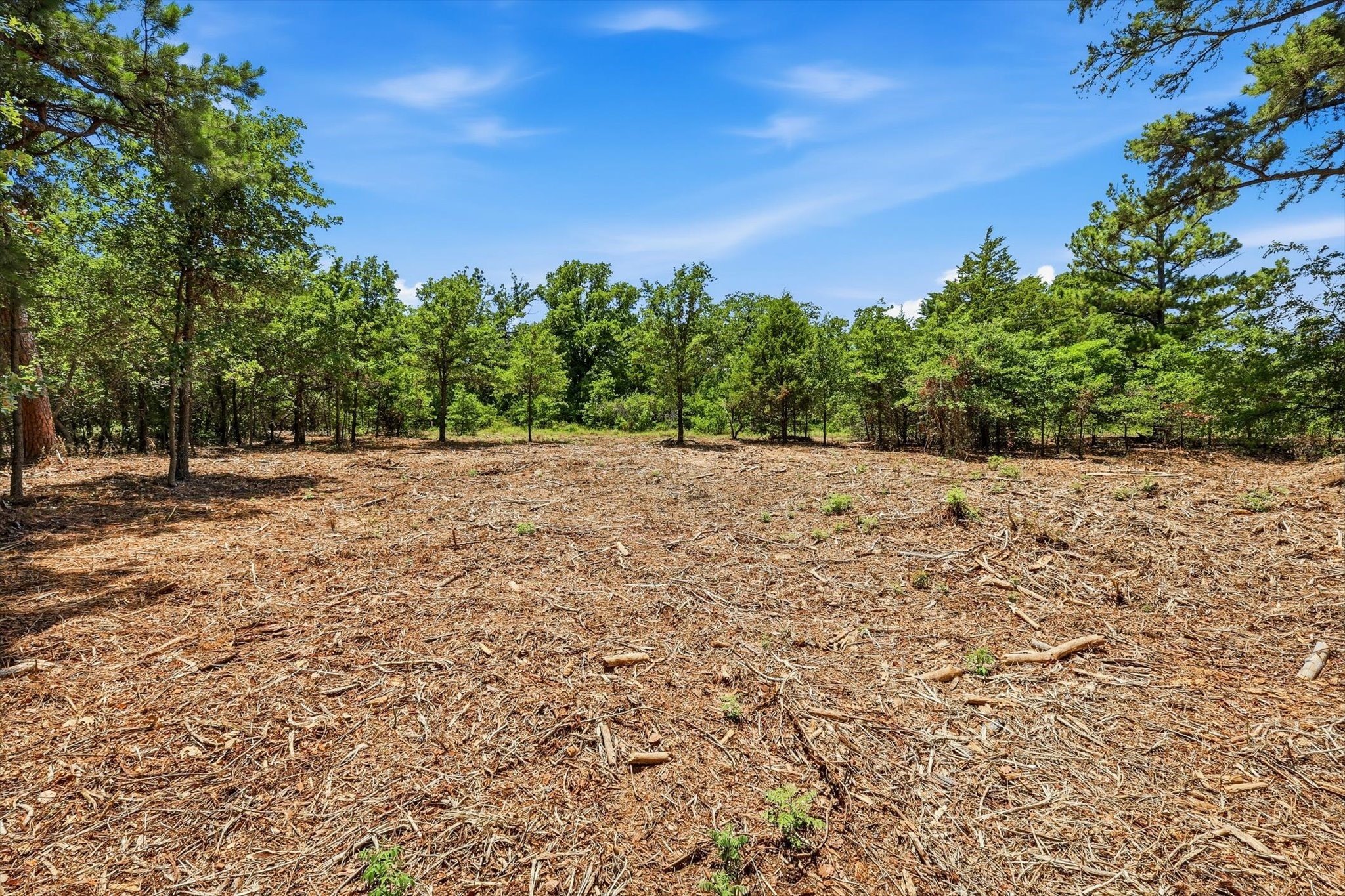 1121 Redbird Grove Road Argyle TX 76226