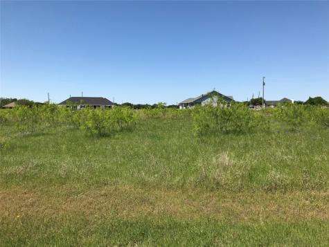 7138 Sandy Oaks Drive Whitney TX 76692