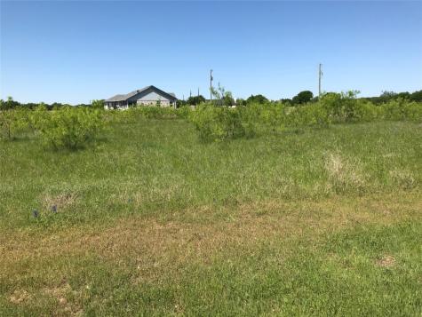 7138 Sandy Oaks Drive Whitney TX 76692