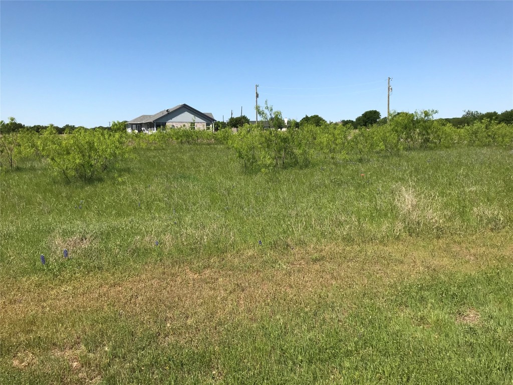 7138 Sandy Oaks Drive Whitney TX 76692