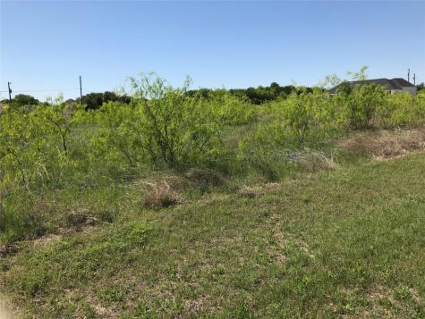 7138 Sandy Oaks Drive Whitney TX 76692