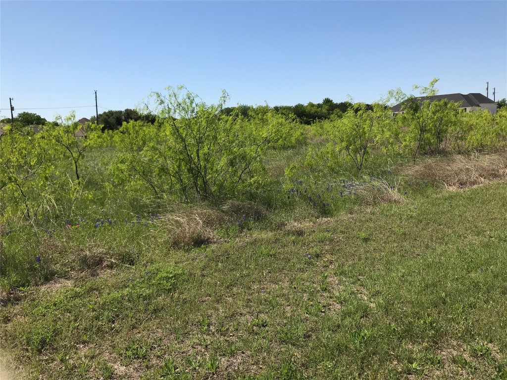 7138 Sandy Oaks Drive Whitney TX 76692