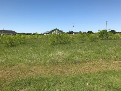 7138 Sandy Oaks Drive Whitney TX 76692