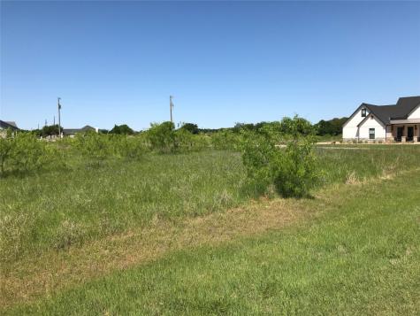 7138 Sandy Oaks Drive Whitney TX 76692