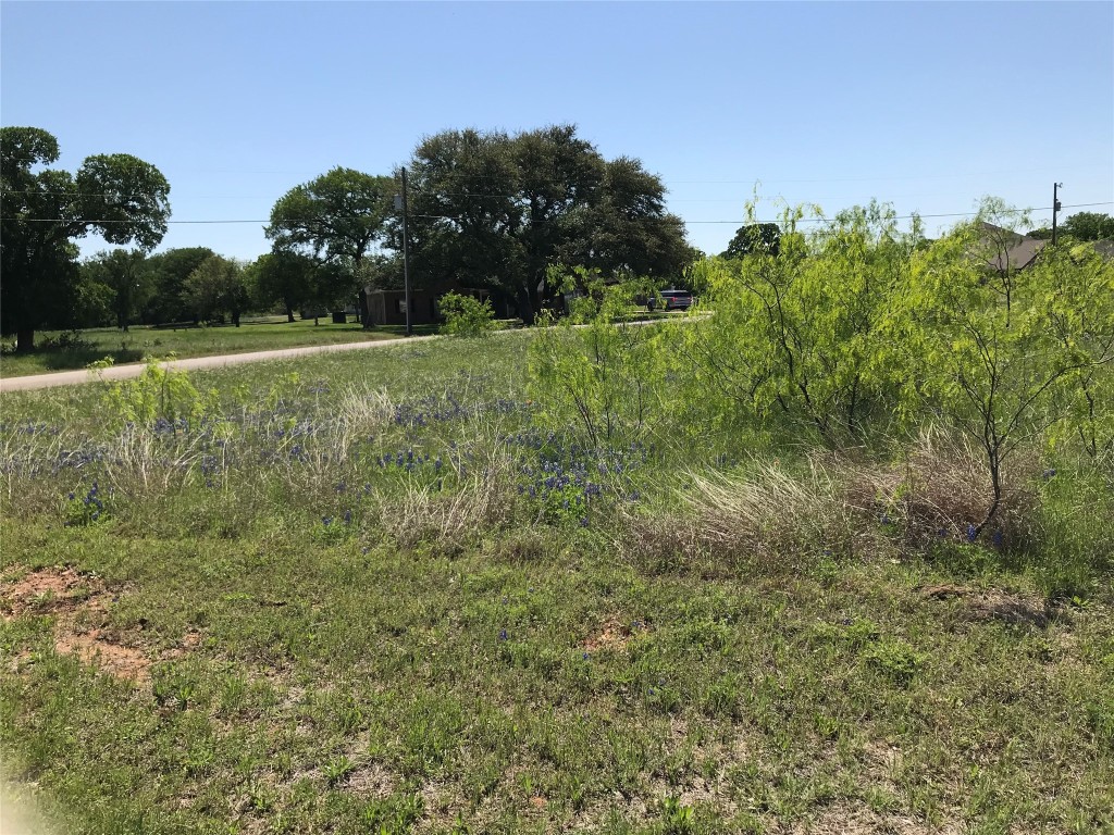 7138 Sandy Oaks Drive Whitney TX 76692