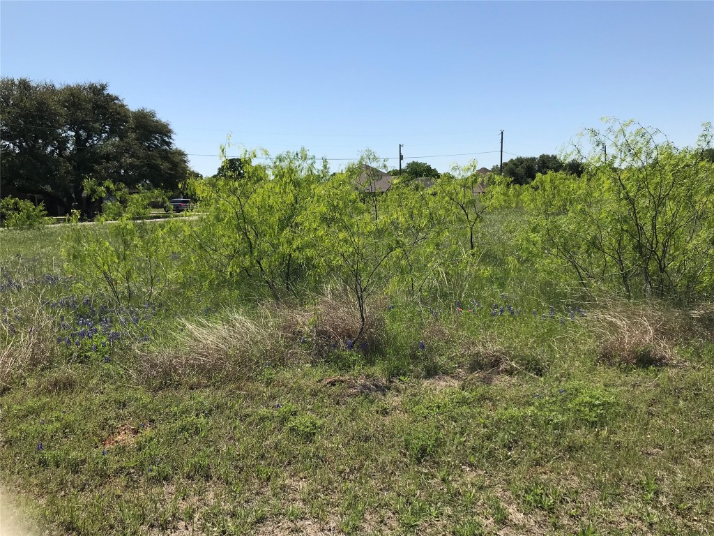 7138 Sandy Oaks Drive Whitney TX 76692