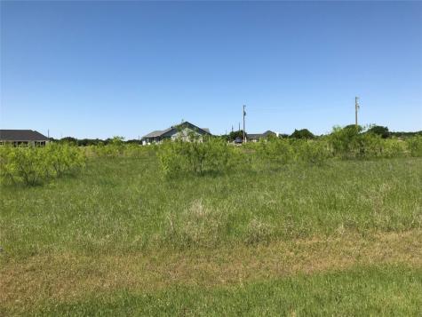 7138 Sandy Oaks Drive Whitney TX 76692