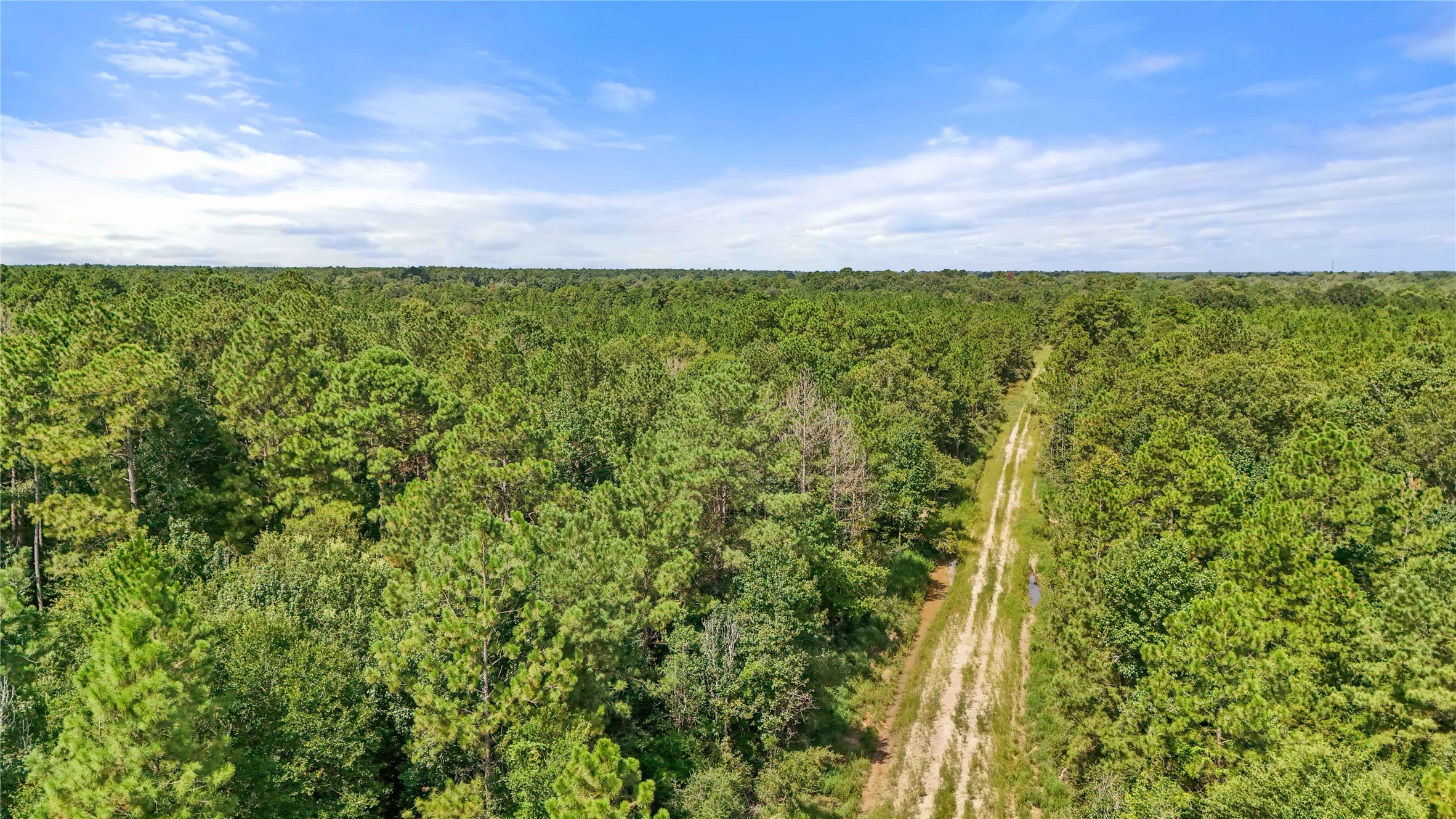 00001 Highway 105 Sour Lake TX 77659